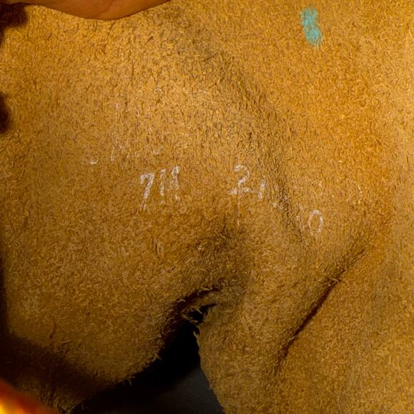 L.L. Bean Womens Duck Boots Tan Blue Leather Waterproof Snow Ankle Boots Size 7M - Picture 11 of 14